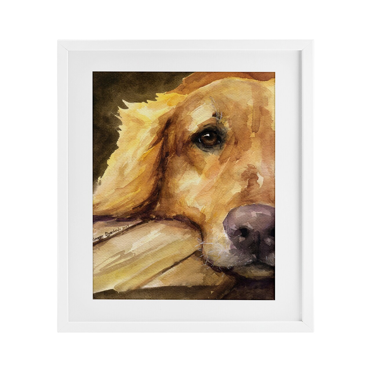 Stupell Industries Sight of Golden Retriever Framed Print Under Glass, design by George Dyachenko